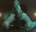 Chamataki Tamataki M