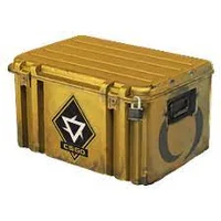 CS-GO case