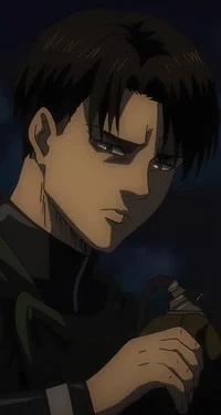 Levi Ackerman 