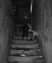 Girl in the Basement