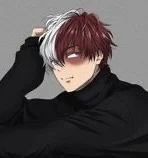 MHA - Shoto Todoroki