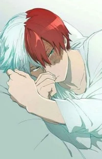 Shoto Todoroki