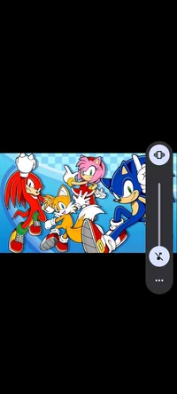 Sonicamyknucklestail