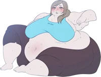 Wii Fat Trianer