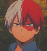 Shoto todoroki