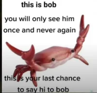 Bob