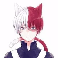 Todoroki
