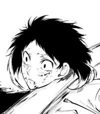 Akutagawas head