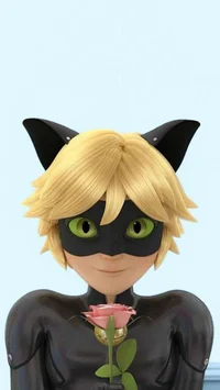 Cat noir 