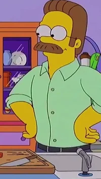 Ned flanders 