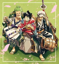 Law Luffy and Zoro