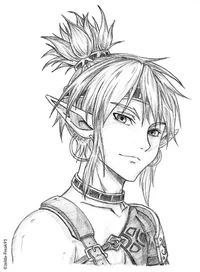 Botw Link