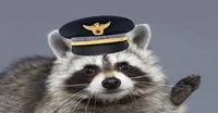 Marine Raccoon Man
