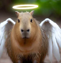 Capybara world