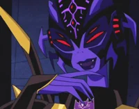 Blackarachnia tfa