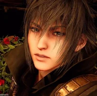 Noctis Lucis Caelum 