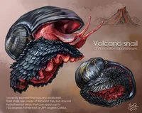 Volcano snail