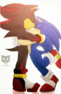 Sonadow Sonic