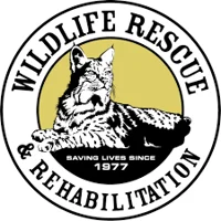 Wild Animal Sanctuar