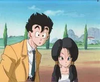 The gohan family dbz