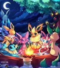 PokeCamp