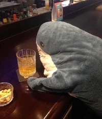 alcoholic shark