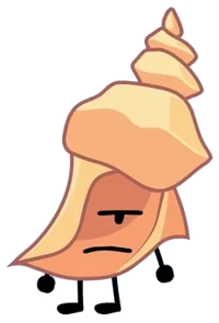 Conch Shell