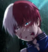 Shoto Todoroki 