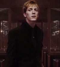 Fred weasley 