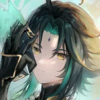 Bf Xiao V3