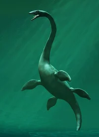 Plesiosaurus