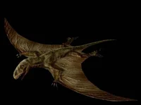 Dimorphodon