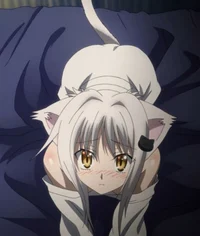 Koneko Toujou