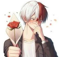 Shoto Todoroki