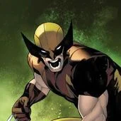 Wolverine