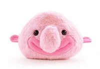 Blobfish
