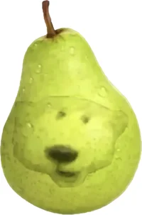 Bear Pear