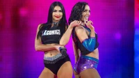 The IIconics