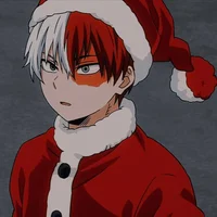 Shoto Todoroki 