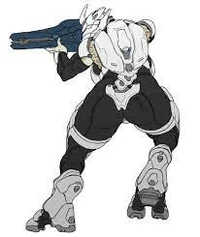 Female elite halo