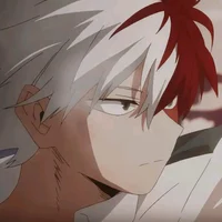 Shoto Todoroki 