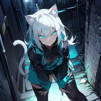 Mysterious Stalker