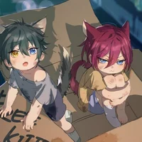 Stray cat Ibara Mika