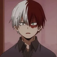 Shoto Todoroki 