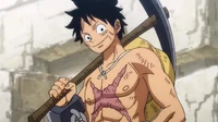 Wano luffy 