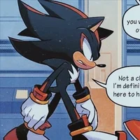 Shadow the Hedgehog