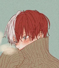 Shoto Todoroki 