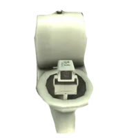 Camera Toilet