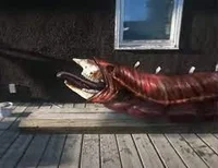 Meat Snake