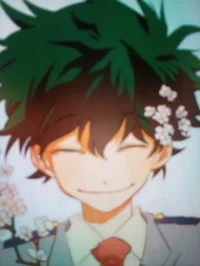 Izuku Midorya BF